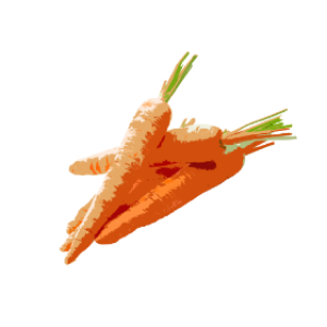 にんじん