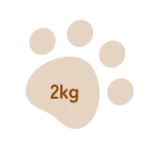 2kg