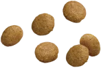 ドライフードの粒